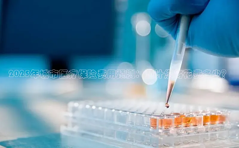 MK体育官方网站入口