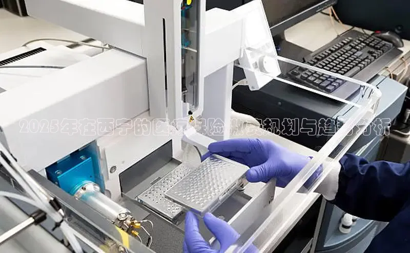 mk体育官网入口