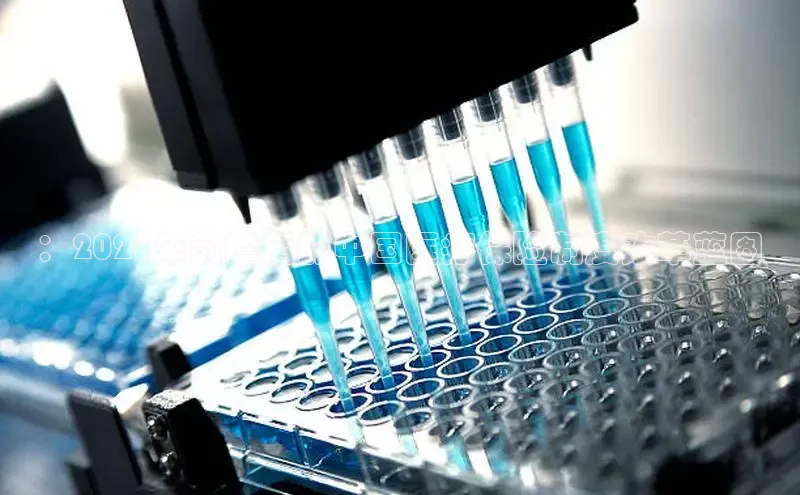 MKsport官网下载入口